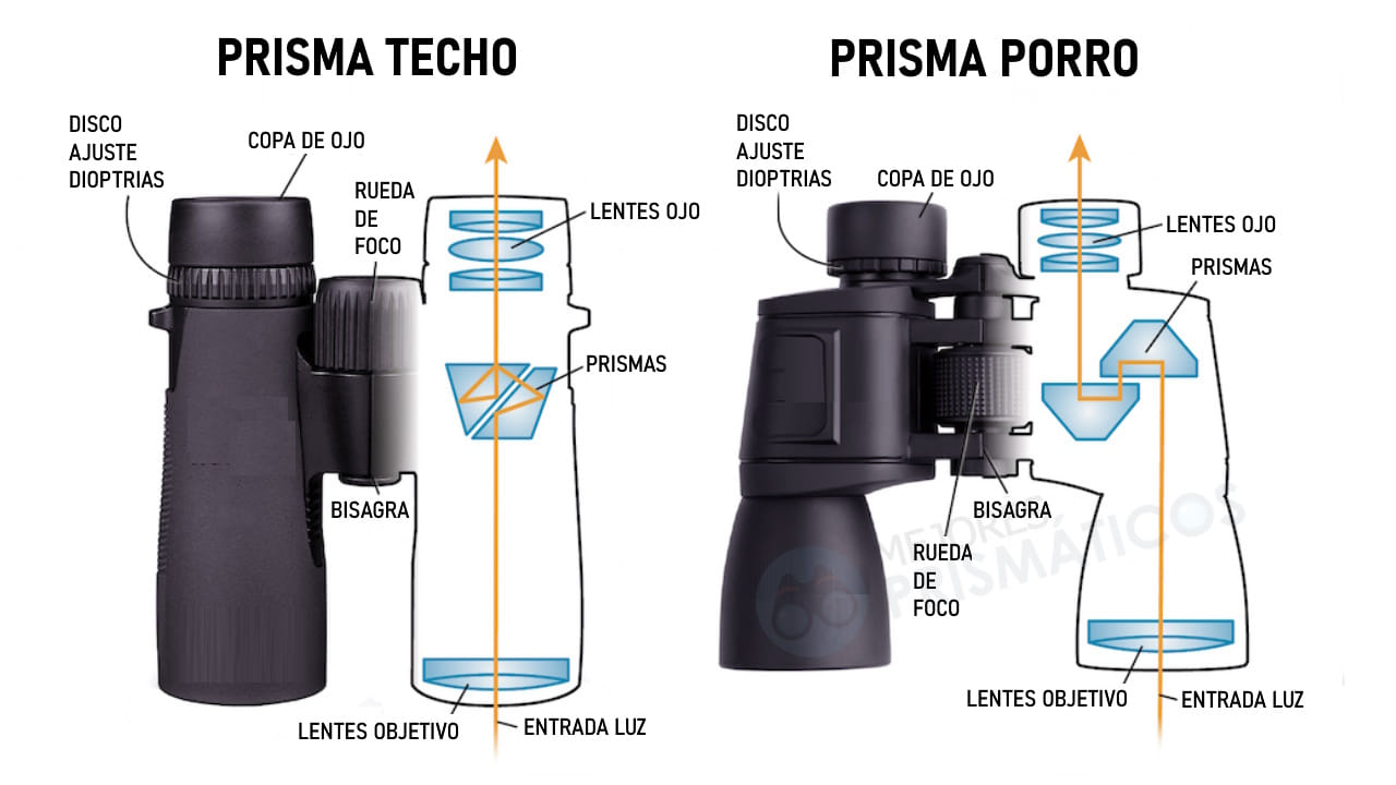 prismas primaticos porro techo